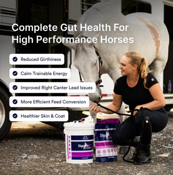 Poseidon Digestive HP - Sporthorse Gut Support 4kg Tub - Image 2