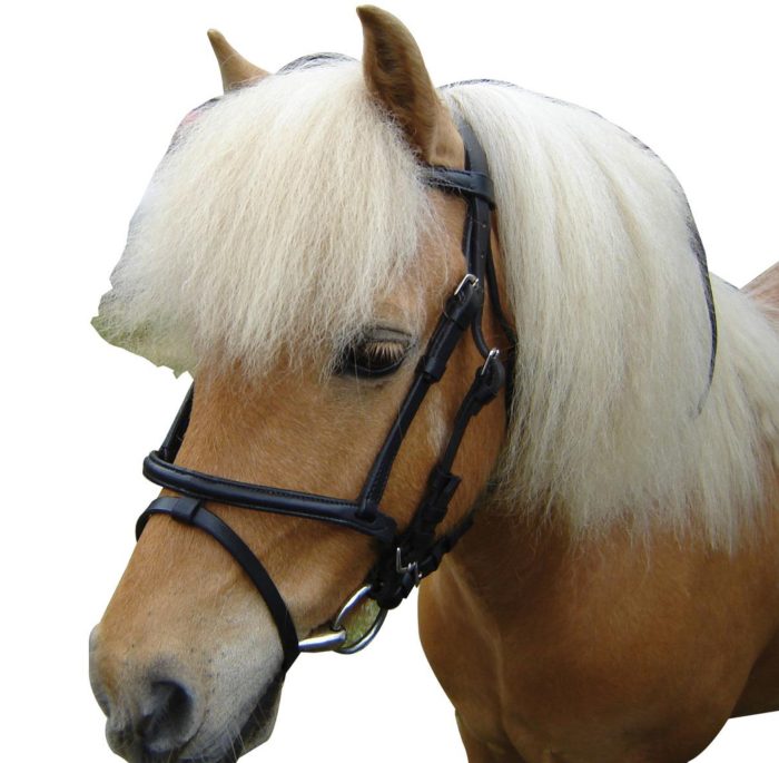 Eureka Miniature Bridle - Brown