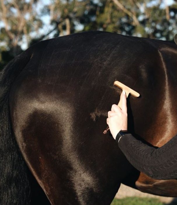 GeeGee Ultra DeShedding Tool - Image 4