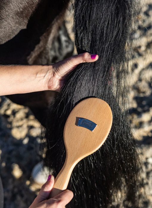 GeeGee Large Tail & Mane Brush - Image 3