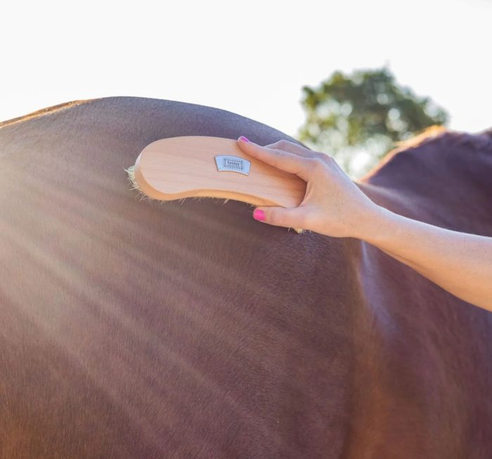 GeeGee Dusty Body Brush - Image 3