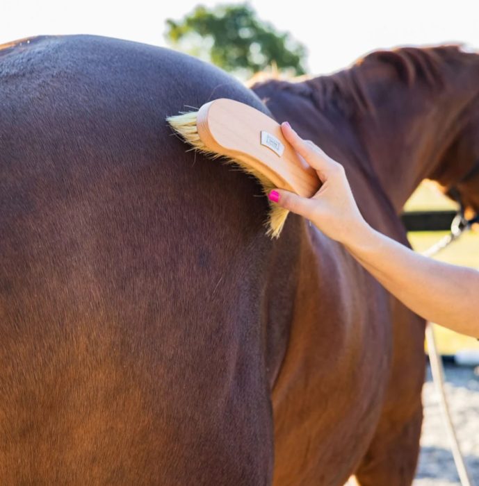 GeeGee Dusty Body Brush - Image 4