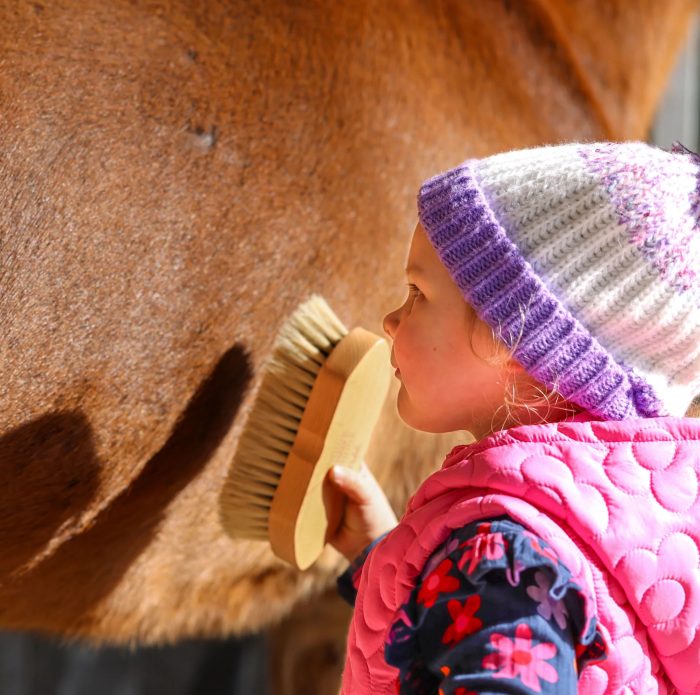 GeeGee Petite Finishing Brush - Image 4