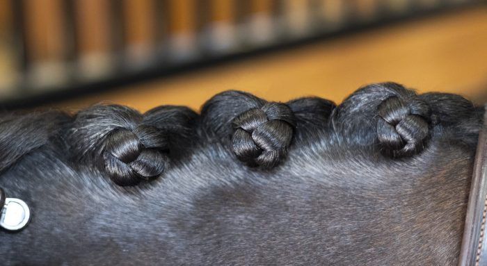 NTR Active Control Cream - Image 4