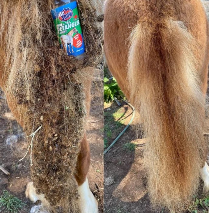 Dr Show Mane & Tail Detangler - Image 2