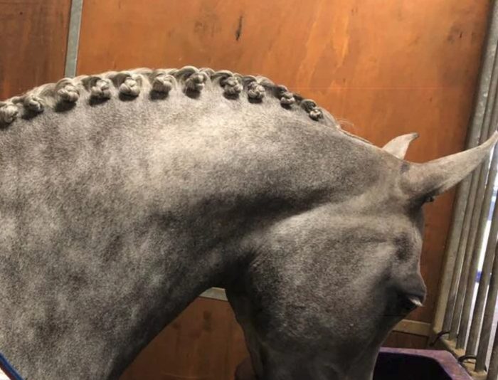 Dr Show Super Mousse Braid & Plait 375ml - Image 4