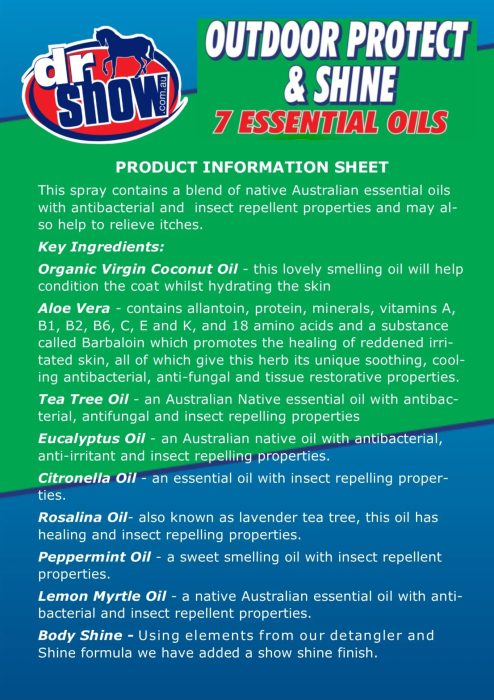 Dr Show Outdoor Protect & Shine 750ml - Image 2