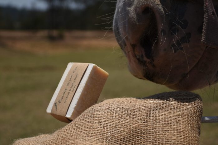 Equine Soap Co. Coconut & Sulphur Soap - Image 2