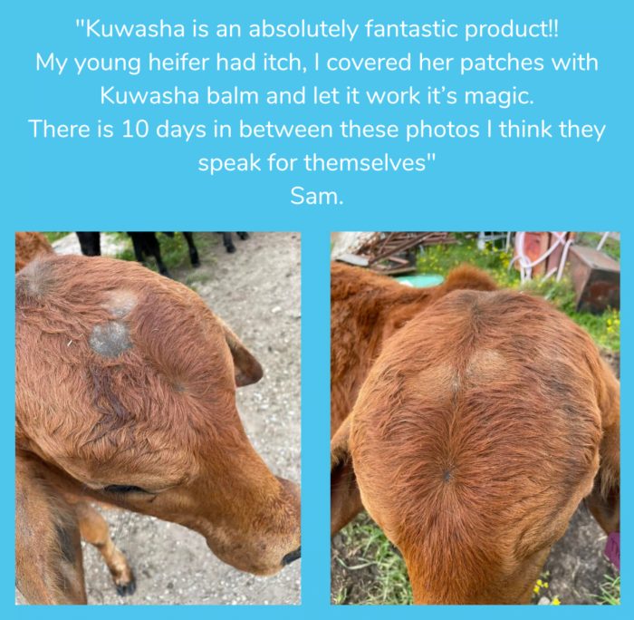 Equine Soap Co. Kuwasha Balm 90g - Image 2