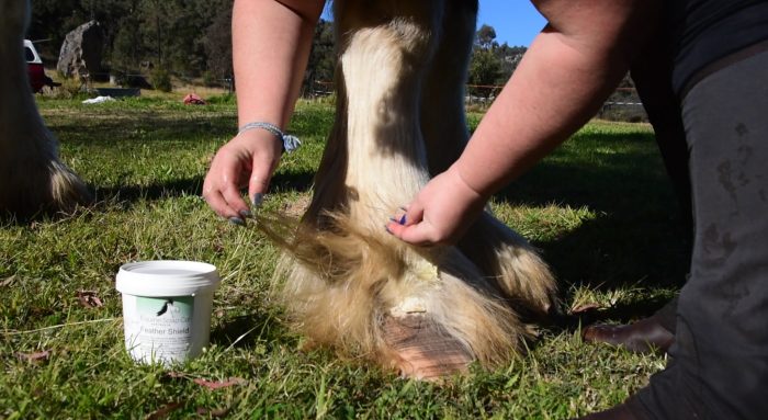 Equine Soap Co. Feather Shield 1kg - Image 4