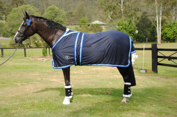 Gala Cotton Show Sets - Image 2