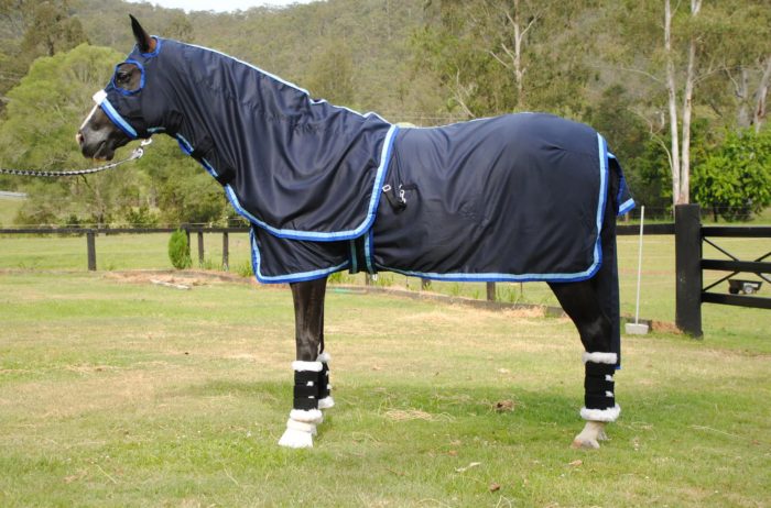 Gala Cotton Show Sets - Image 3