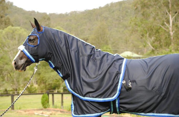 Gala Cotton Show Sets - Image 4