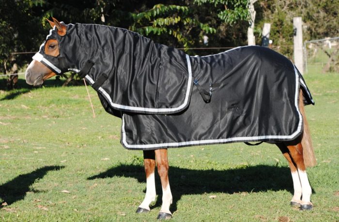 Gala Cotton Show Sets - Image 7