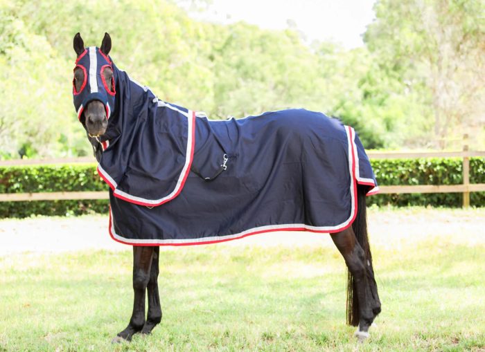 Gala Cotton Show Sets - Image 8