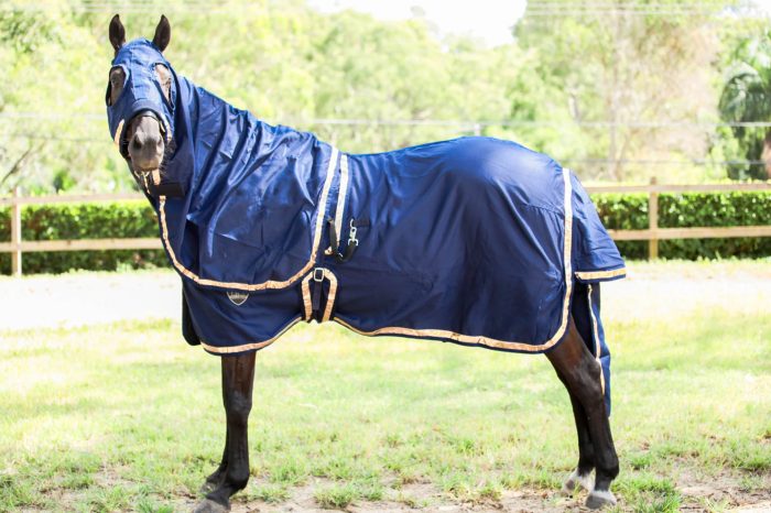 Gala Cotton Show Sets - Image 10