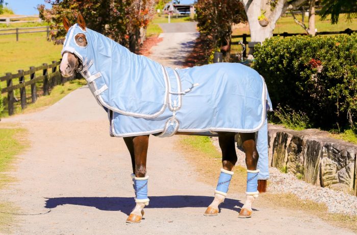 Gala Cotton Show Sets - Image 13