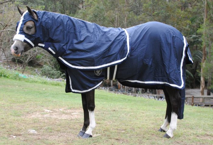 Gala Cotton Show Sets - Image 14