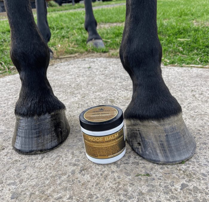 Hoof Balm 250g - Image 2