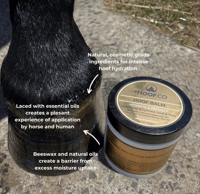 Mühldorfer Speed Hoof-Balm Balsamo Per Zoccoli 250 Ml - Cura Elasticizzante Con Alloro, Prodotto In Germania