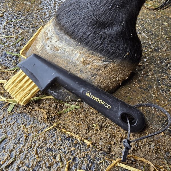 Hoof Pick with Wire Bristles