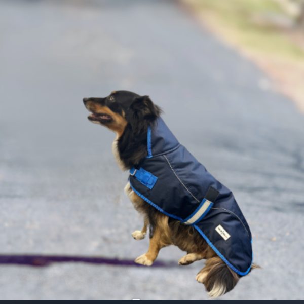 Navy Bounty Dog Coat