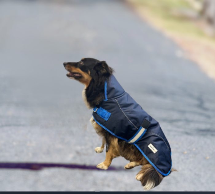 Navy Bounty Dog Coat