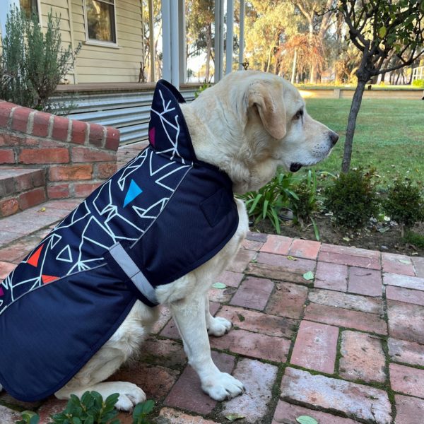 1200D Viking Dog Coat