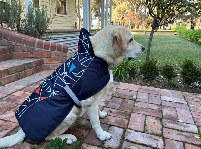 1200D Viking Dog Coat