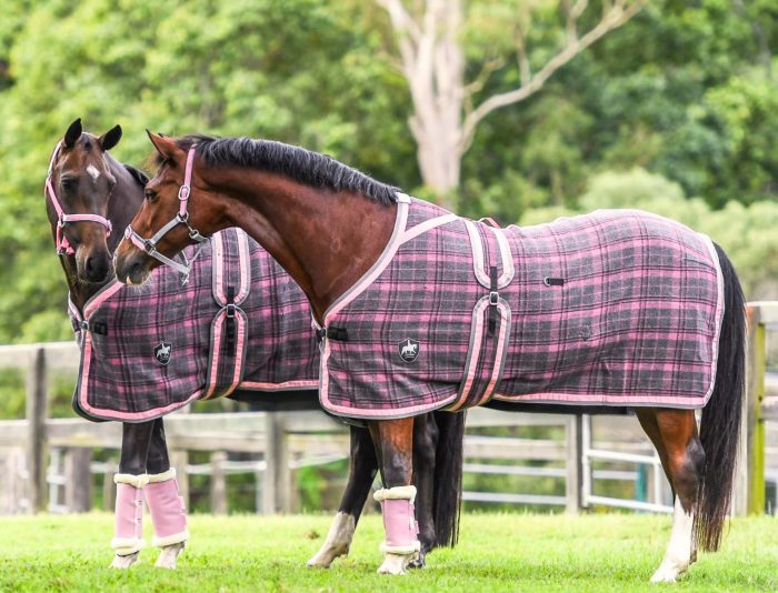 Gala Blush Pink & Grey Check Kersey Wool Rug 6’3 - Image 2