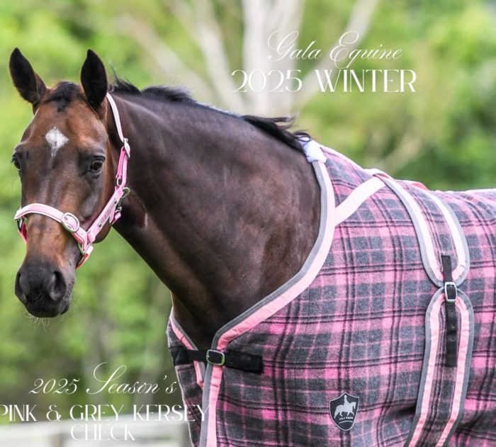 Gala Blush Pink & Grey Check Kersey Wool Rug 6’3 - Image 3