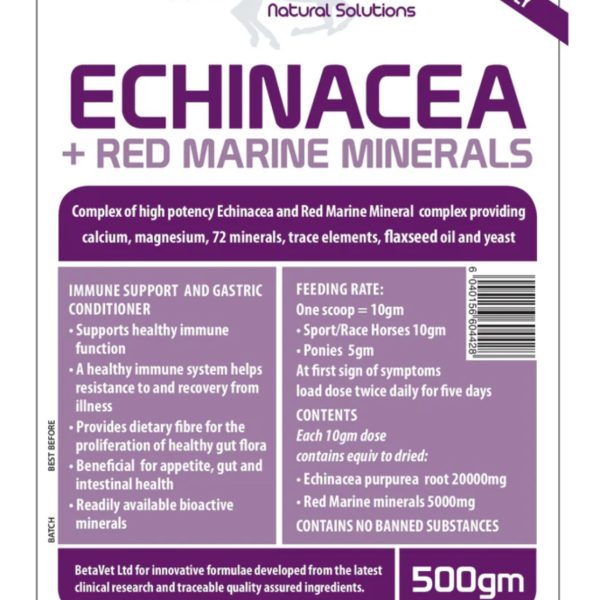 Echinacea & Red Marine Minerals Immune Support 200gm