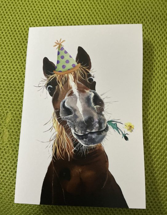 Birthday Card Single Horse