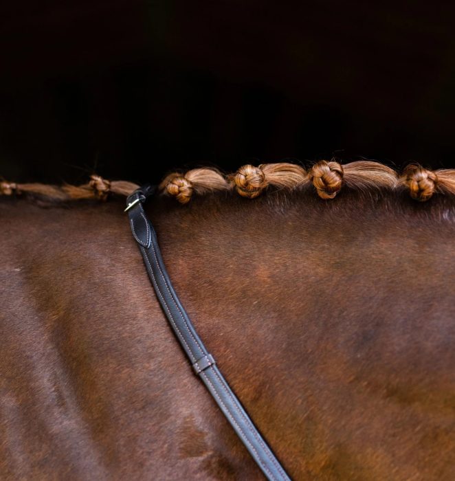 Lumiere Padded Nappa Leather Reins - Rolled - Image 3