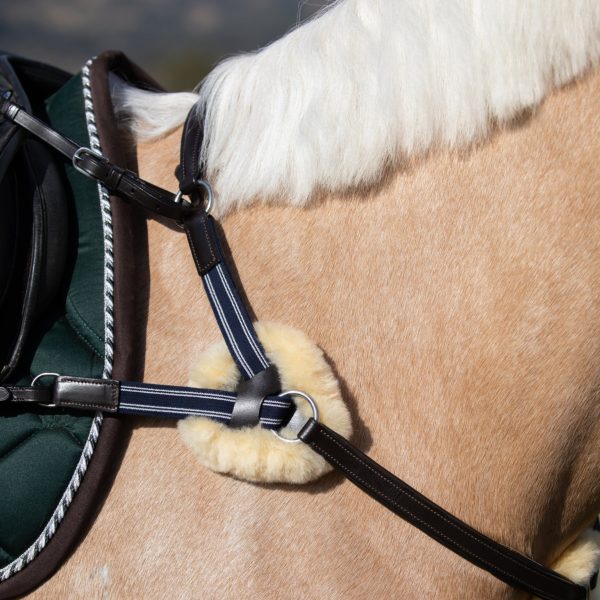 Lumiere Antiqua 5 Point Leather Breastplate