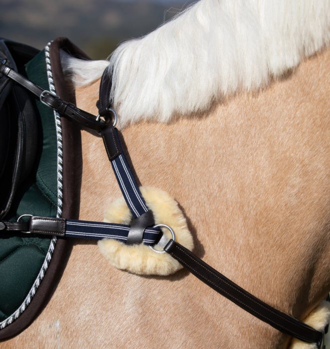 Lumiere Antiqua 5 Point Leather Breastplate