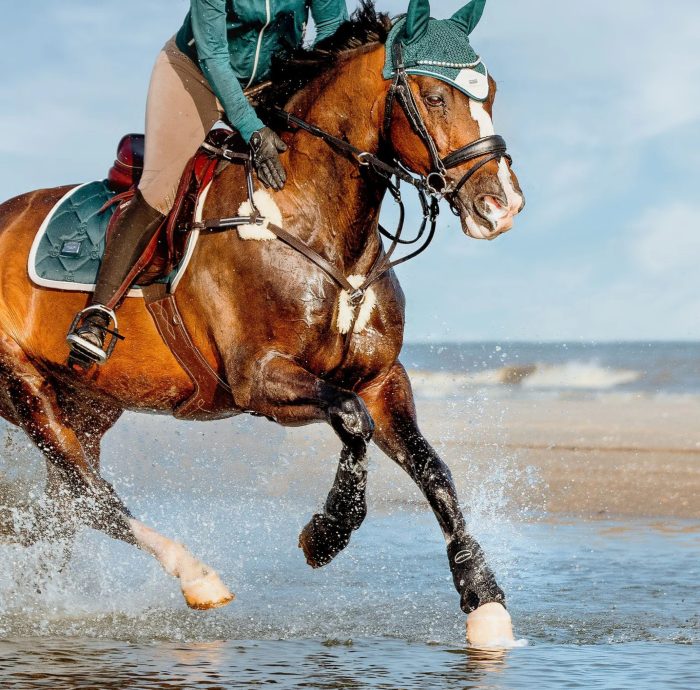 Lumiere Antiqua 5 Point Leather Breastplate - Image 7