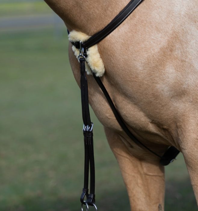 Lumiere Antiqua 5 Point Leather Breastplate - Image 6