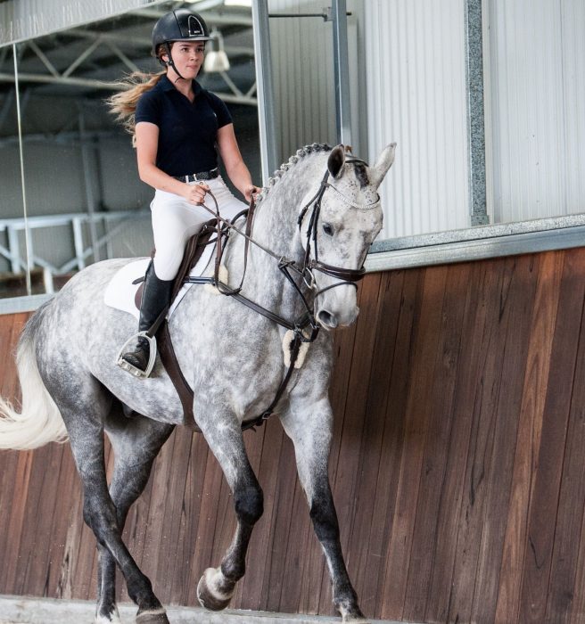 Lumiere Antiqua 5 Point Leather Breastplate - Image 8