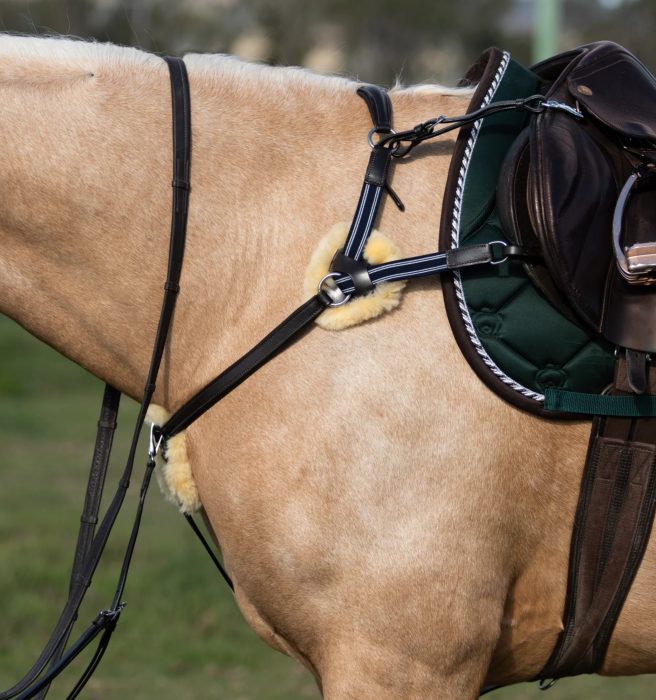 Lumiere Antiqua 5 Point Leather Breastplate - Image 5