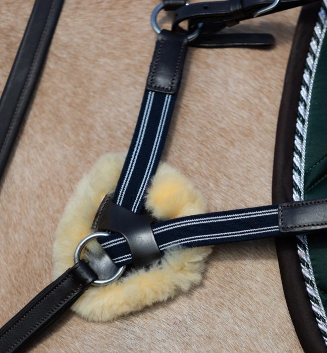 Lumiere Antiqua 5 Point Leather Breastplate - Image 4