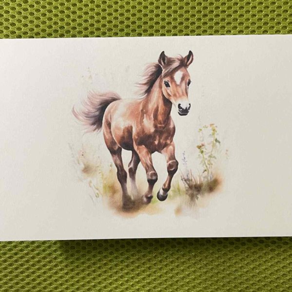 Foal Card