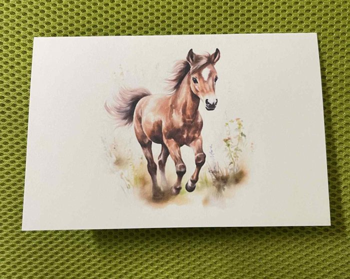 Foal Card