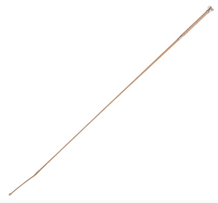 Bling Dressage Whip - Image 3