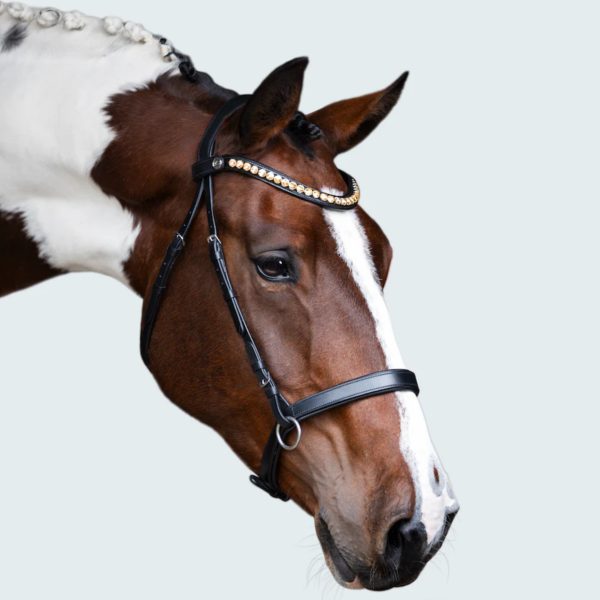 Lumiere Seline Bitless Bridle