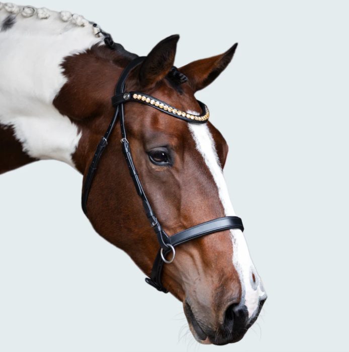 Lumiere Seline Bitless Bridle