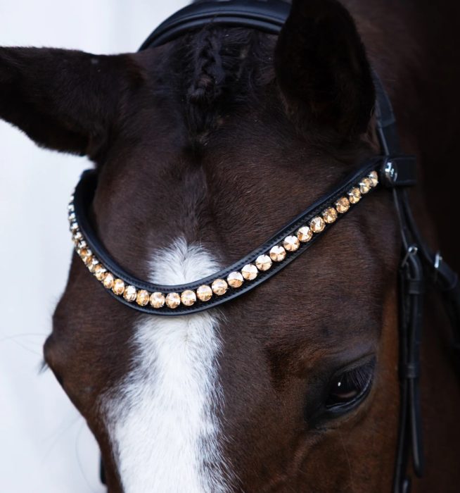 Lumiere Seline Bitless Bridle - Image 4