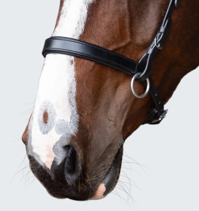 Lumiere Seline Bitless Bridle - Image 3