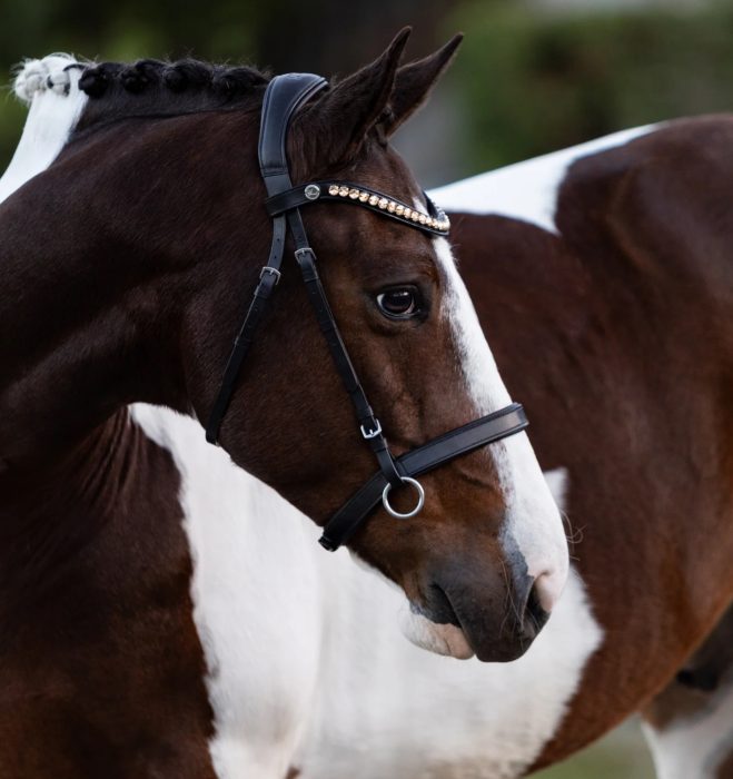 Lumiere Seline Bitless Bridle - Image 2