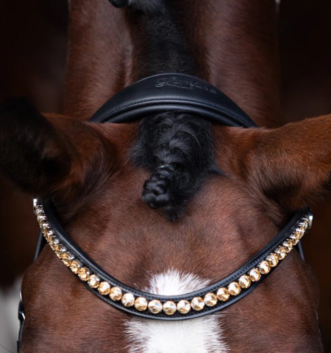 Lumiere Seline Bitless Bridle - Image 5